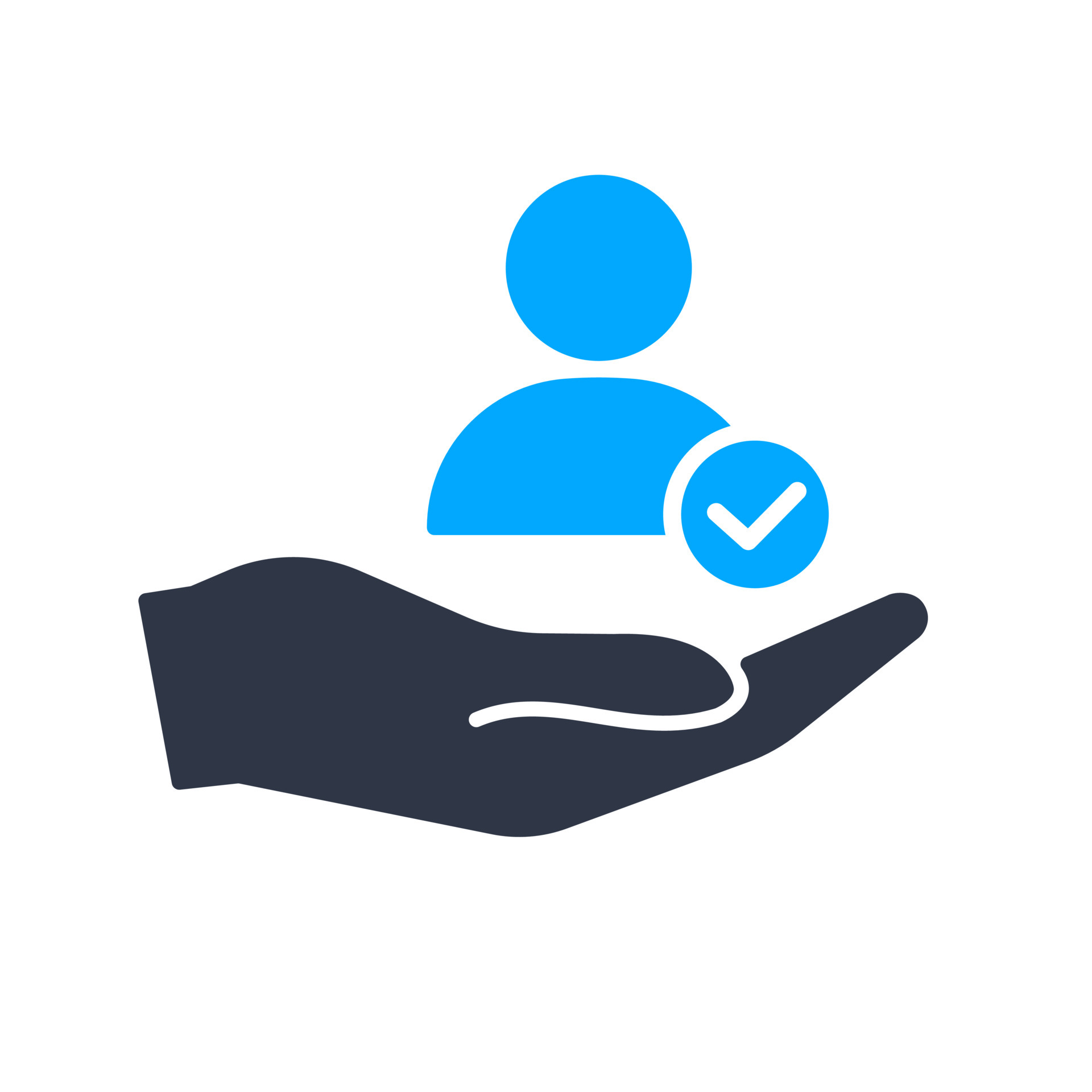touch icon